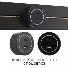 Трековая розетка Arte Milano Am-track-sockets-39 399732TS/USB-Type-C Black