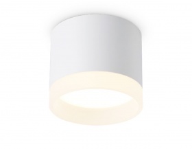 Накладной светильник Ambrella Light Acrylic Frost TN5365