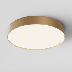 Потолочный светодиодный светильник Maytoni Technical Ceiling Zon C032CL-45W4K-RD-MG