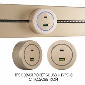 Трековая розетка Arte Milano Am-track-sockets-39 399731TS/USB-Type-C Gold