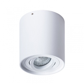 Потолочный светильник Arte Lamp Falcon A5645PL-1WH