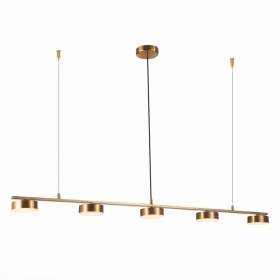 Подвесная светодиодная люстра ST Luce Pances SL6000.303.05