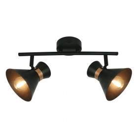 Спот Arte Lamp Baltimore A1406AP-2BK