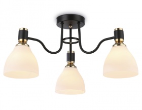 Потолочная люстра Ambrella Light Modern TR303303