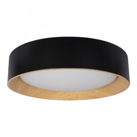 Потолочный светильник Loft IT Coin 10202 Black